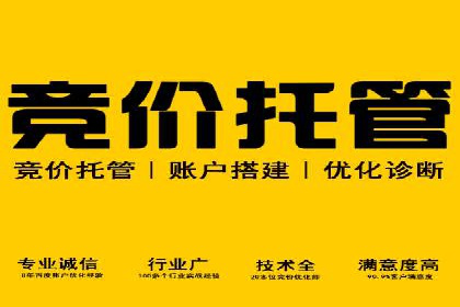 案例解读：SEM托管服务助力企业快速抢占市场份额